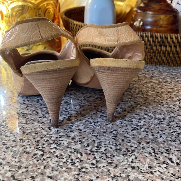 AUTHENTIC CROCODILE IN CREME! - Picture 3 of 5